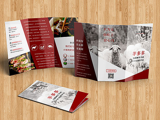 羊多多宣傳物料（三折頁）（個人主頁-ZMTg0MjA5OTI=） - 宣傳物料 - 站酷設(shè)計師暗小影原創(chuàng)素材 - 站酷ZCOOL