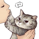 用戶頭像