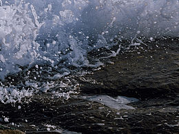 关于那片海的记忆