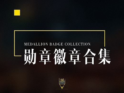勋章汇总