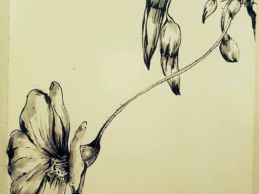 我是一朵花