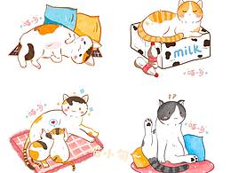 你是那种小猫咪？6图集合！