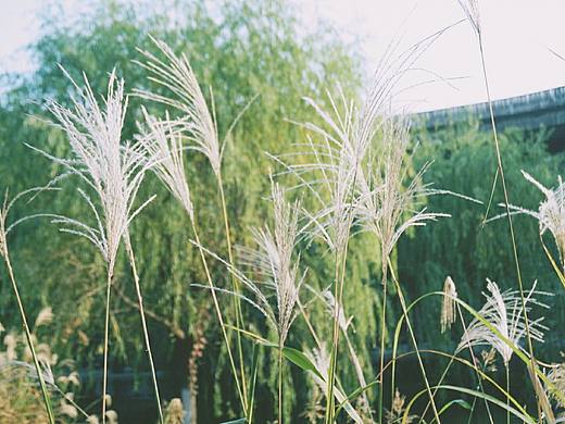人间忽晚，山河已秋