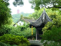 专业
