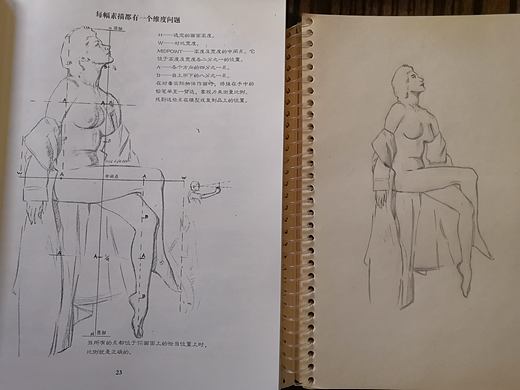 开始学习画人体