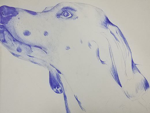 圓珠筆（個(gè)人主頁(yè)-ZMjU5ODIwODA=） - 創(chuàng)作習(xí)作 - 站酷設(shè)計(jì)師三宅畫師原創(chuàng)素材 - 站酷ZCOOL