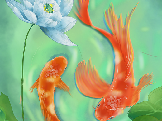 鲤鱼