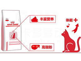 MG动画MG动画MG动画MG动画