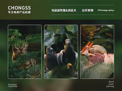 宠物食品 | 鸽老大 | 电商图片 | 宠叔叔传媒