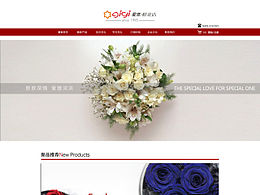 簡約網(wǎng)站界面