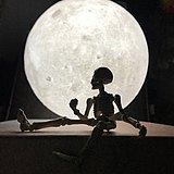 小枯先生的头像