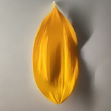 王东仁的头像