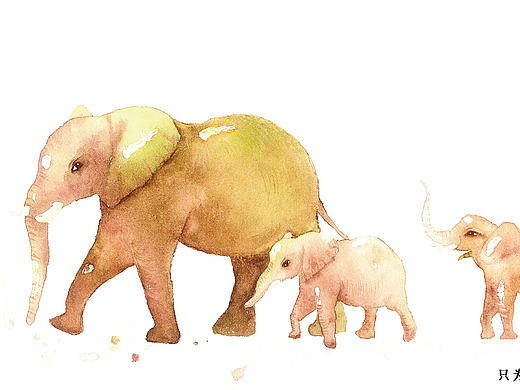 水彩:大象,记得回家