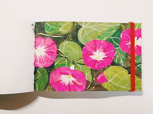 水粉牵牛花