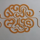 深圳市晨艺时代的头像