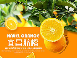 脐橙详情页