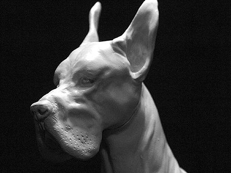 大丹犬