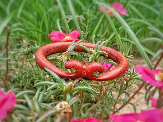 【致敬手作】红花梨金箍手镯（个人主页-ZMTgzOTIyMDA=） - 首饰设计 - 站酷设计师老李在缅甸原创素材 - 站酷ZCOOL