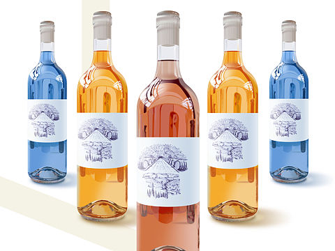 酒的玻璃瓶插画习作（个人主页-ZMTY2NzYzODg=） - 创作习作 - 站酷设计师孙燕子muais原创素材 - 站酷ZCOOL