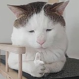 shenyuli啊的头像