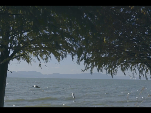 宗璞：《东藏记》（个人主页-ZNjM2NTc1MjQ=） - 其他影视 - 站酷设计师Emmalyy原创素材 - 站酷ZCOOL