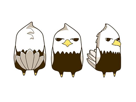 鹰