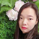 拉不拉猫的头像