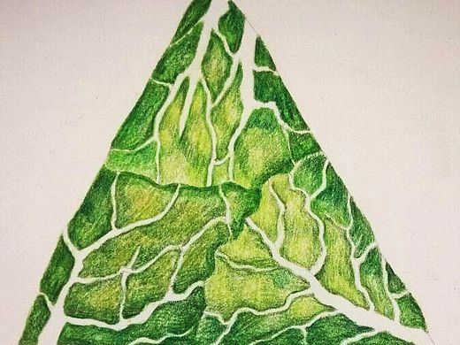 不同材质的粽子