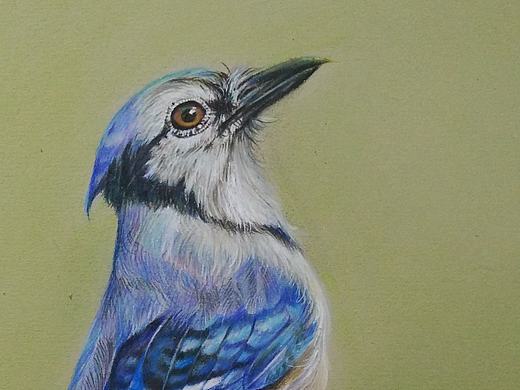 小鸟（个人主页-ZMjAzMjE2Njg=） - 绘画 - 站酷设计师夏目侑子原创素材 - 站酷ZCOOL