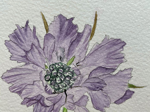 安静夜晚 适合画点东西...