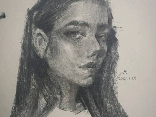 柳碳条素描练习