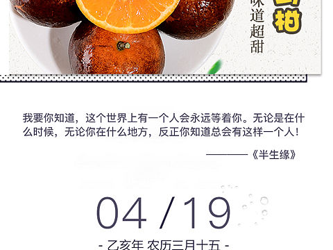 海报