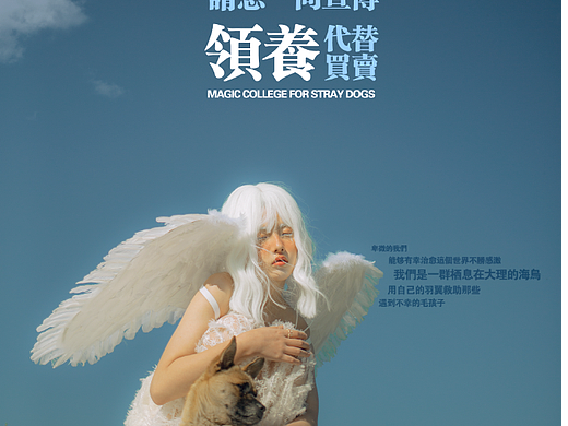 领养代替买卖
