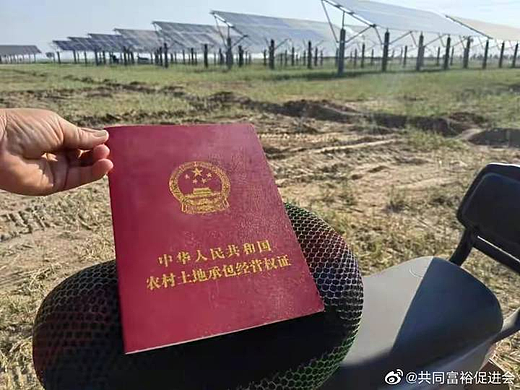 河北农光互补项目 违占农地衡水样本调查