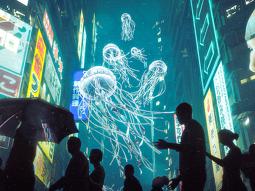 水母森林|视觉概念设计