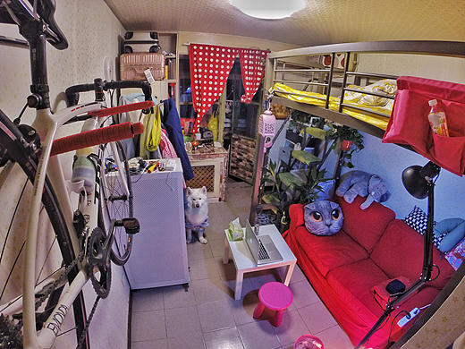 网页设计师爆改出租房,原来这才是活在当下的样子。