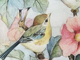 彩铅临摹（个人主页-ZMTY5NjcwMzY=） - 创作习作 - 站酷设计师任萌MollyRen原创素材 - 站酷ZCOOL