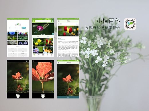【小植百科】百科知识类app（部分）