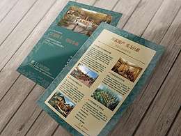 DM单页