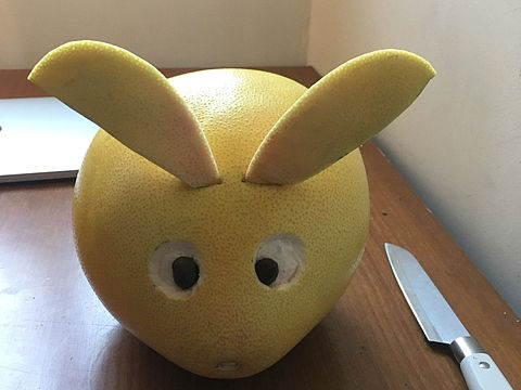 柚子