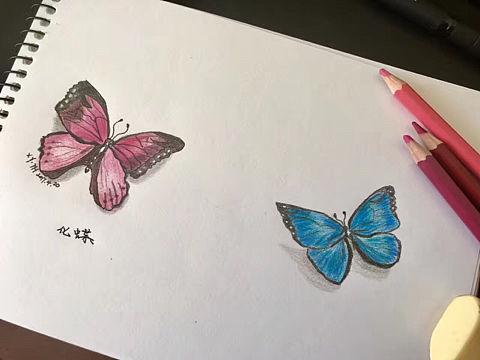 彩铅动物系列（个人主页-ZMzAyNzQ5NzY=） - 创作习作 - 站酷设计师英子手绘插画控原创素材 - 站酷ZCOOL