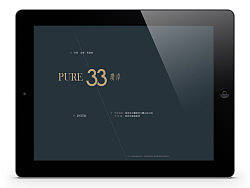 年终盘点之PURE地产IPAD界面设计