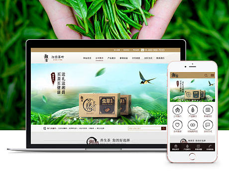 企业官网-湖南湘爵茶业有限公司