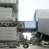 老杨先生的头像
