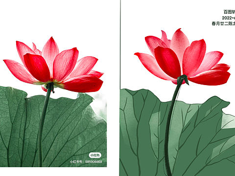百图斩12-小荷翻（个人主页-ZNjAxOTQwNjA=） - 创作习作 - 站酷设计师春月廿二_陈太太原创素材 - 站酷ZCOOL