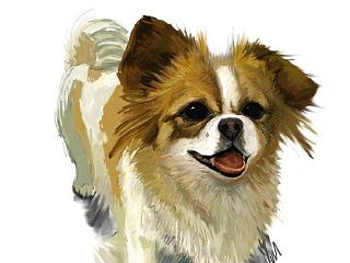 我叫它大白吃（个人主页-ZNzI2OTU2MA==） - 创作习作 - 站酷设计师格子MY原创素材 - 站酷ZCOOL