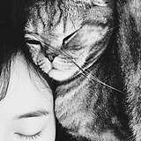 G小晕的头像