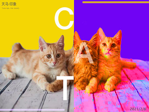 猫主题（个人主页-ZNDA1OTEyMDA=） - 海报 - 站酷设计师KA奇诺原创素材 - 站酷ZCOOL