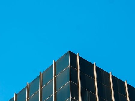 杂色，绿色、树叶、风景