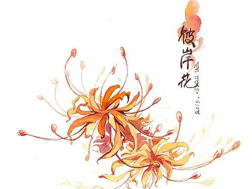 让我送你花一朵（之曼珠沙华(彼岸花)）